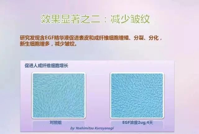 干粉冷冻,冷冻干粉的作用和功效