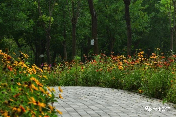 北京十大免费遛娃去处,北京朝阳区遛娃好去处