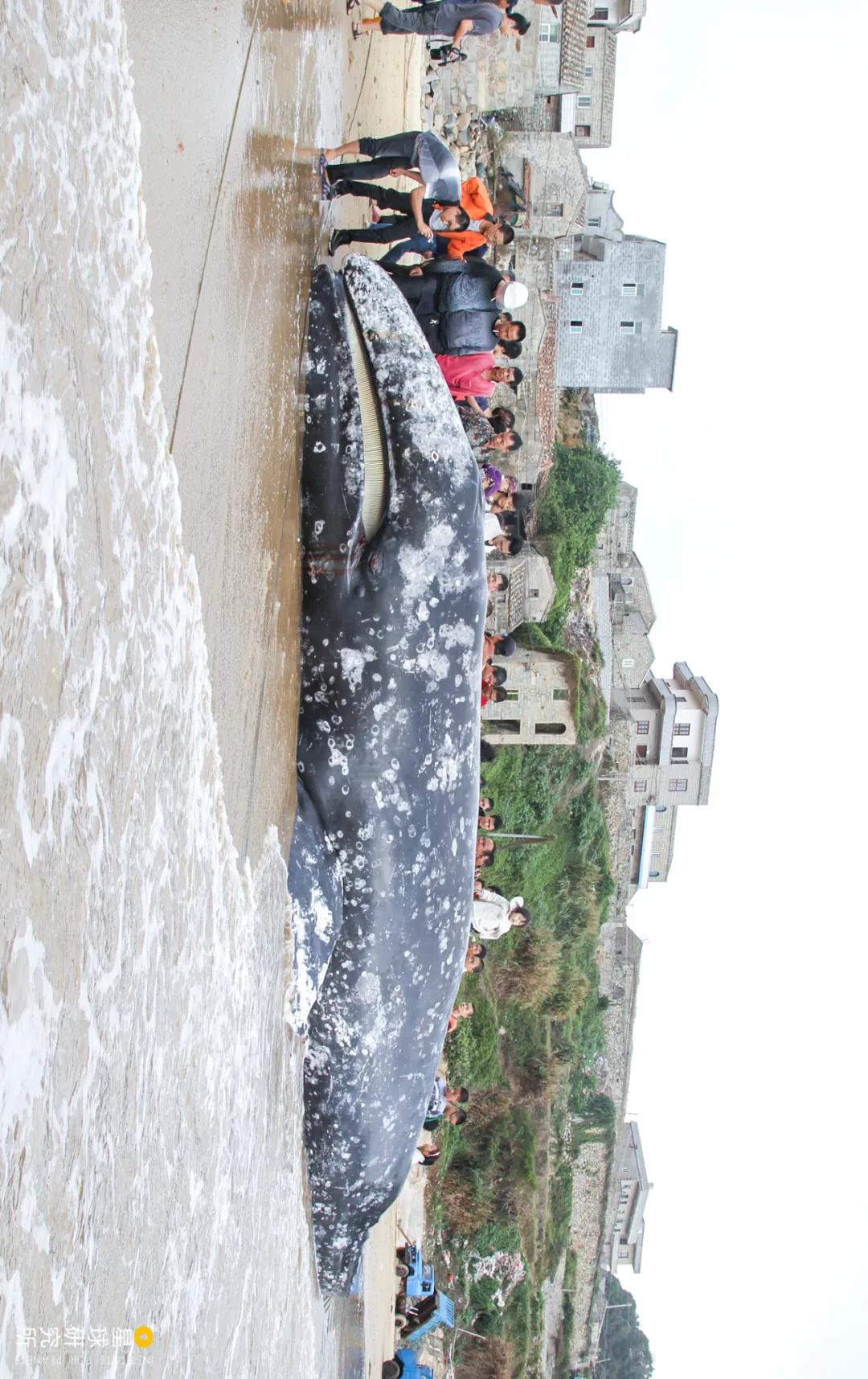 平潭在哪里租车,平潭在哪里哪个城市