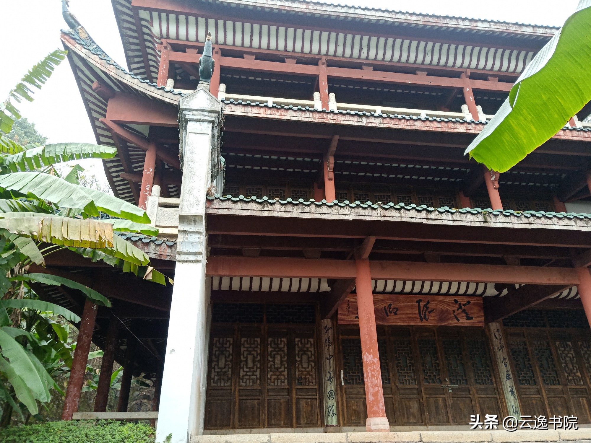 张旭和怀素为什么都被称为草圣,怀素是唐代杰出的书法家史称草圣