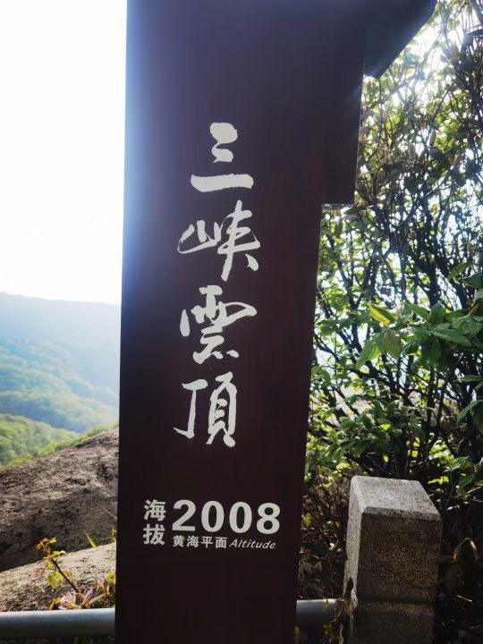 我为王霜而自豪一一灯下漫笔（26）