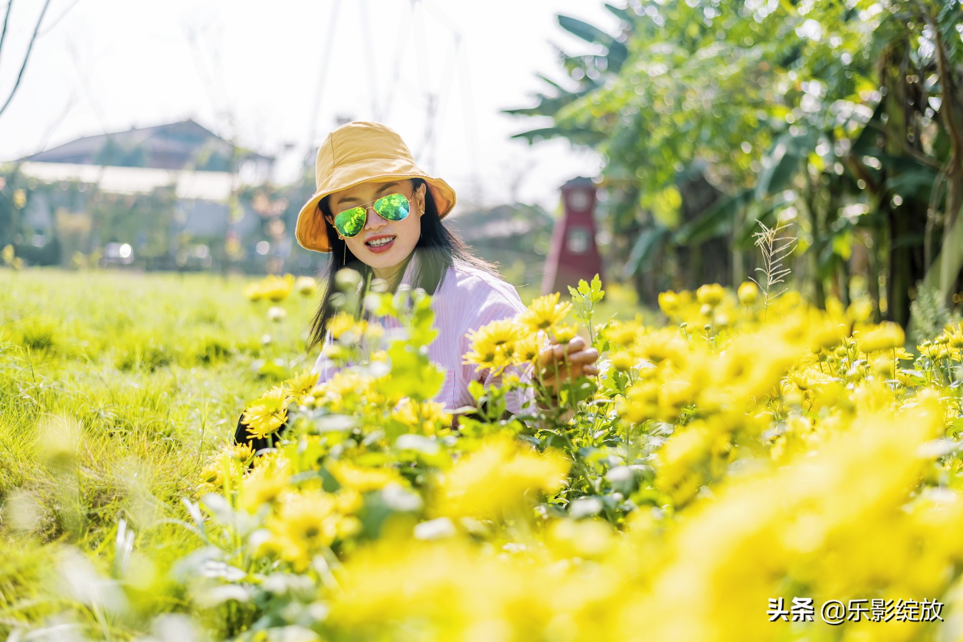 带小花狗去野外生存,带着小花去兜风