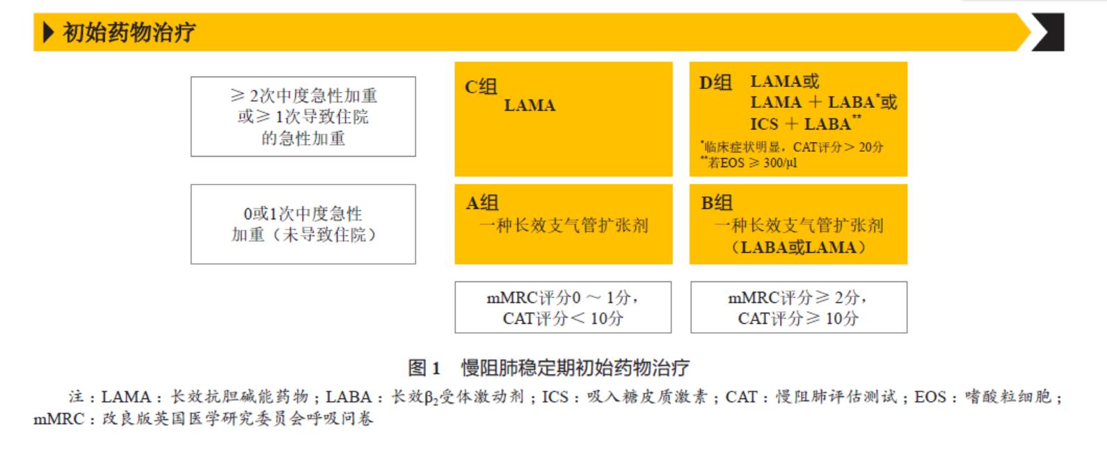 慢性阻塞性肺疾病前沿进展,2019gold慢阻肺指南