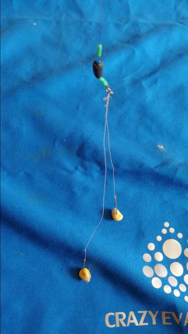 野钓大走水最佳的处理方法,野钓轻微走水最佳的处理方法