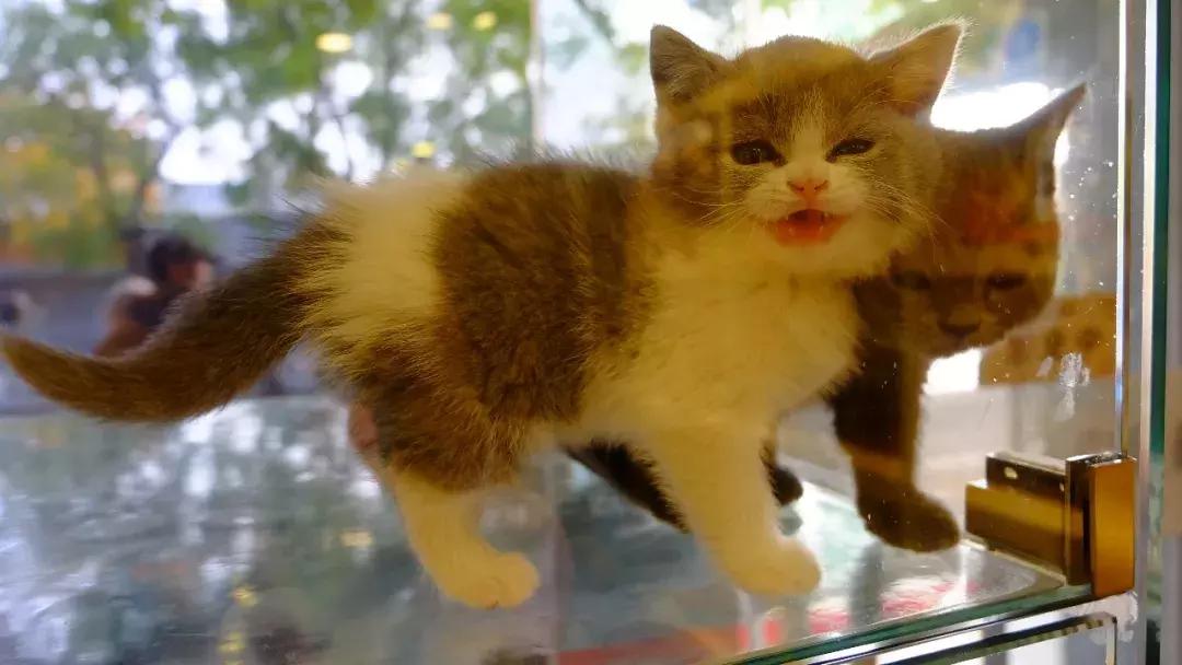 北京南锣鼓巷东一公里打卡地,北京南锣鼓巷旅游攻略必玩的景点