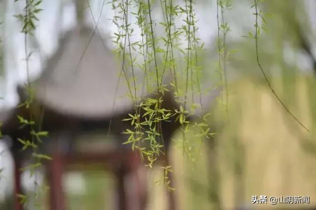 人间四月春暖花开散文,最美人间四月天优美散文