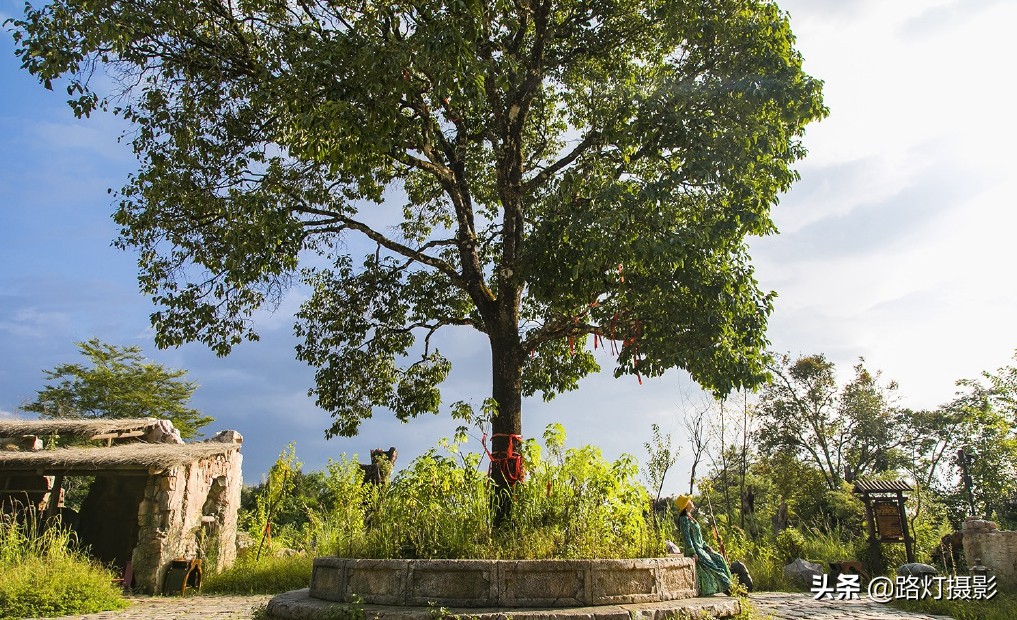 冬天云南哪里最适合居住,云南哪个城市冬暖夏凉适合养老