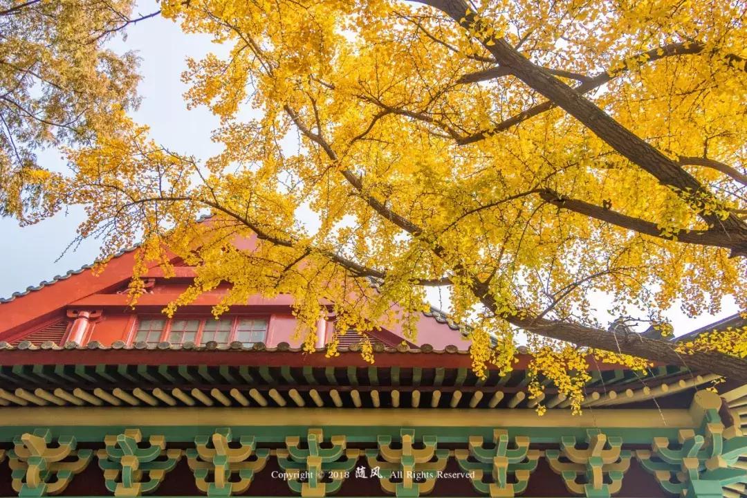 南京的大学学校面积,南京的大学有哪些