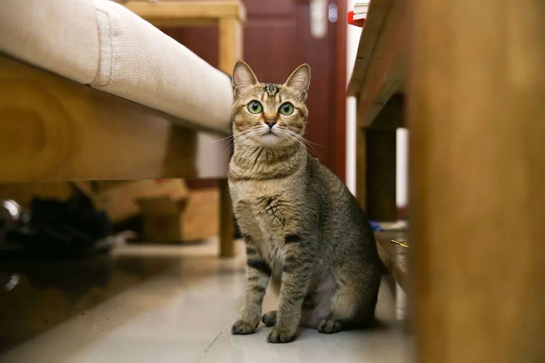 深圳真正的富人真实生活,深圳土豪的现状