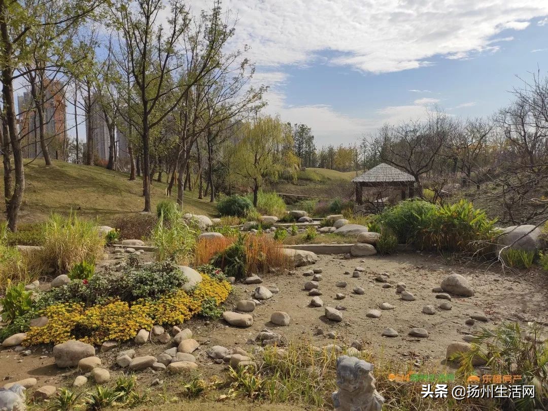 实地查看项目建设进展情况,2019城建10大工程具体项目