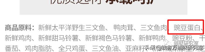 绿福摩猫粮为什么越吃越瘦,绿福摩猫粮适合什么猫