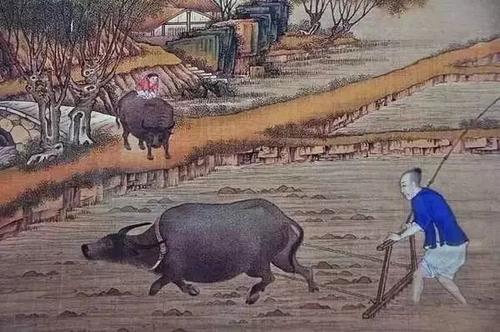 农村俗语一年打两春,农村俗语春打五