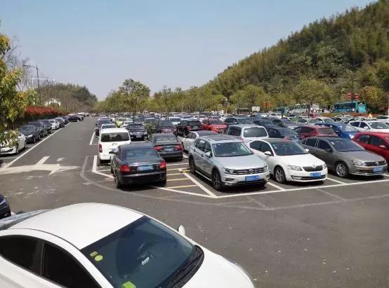 不负假期不负青春,不负韶光享受春日