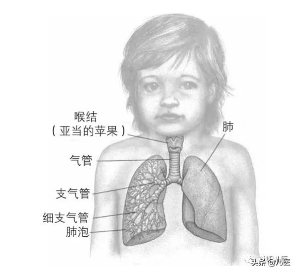 哮喘患儿的家庭护理方法指导,适合哮喘长期服用的药