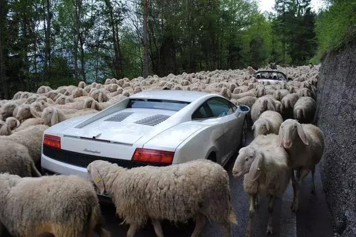 瑞士原来如此美丽,瑞士的风景是不是真的很美