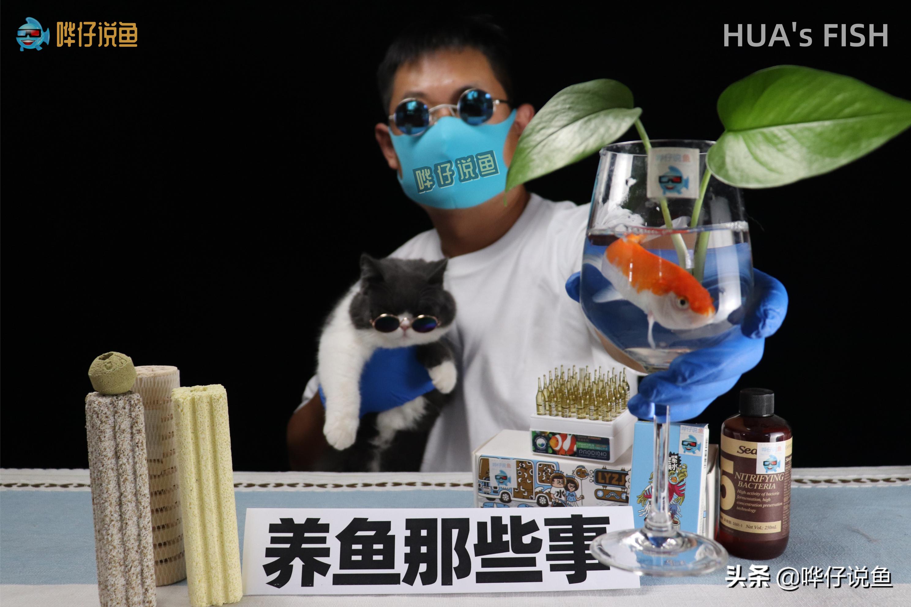 有人说，硝化细菌和鱼缸滤材都是水族圈的*局骗**，我觉得这话不靠谱