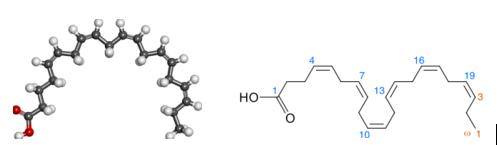 coromega阻糖,coromegadha