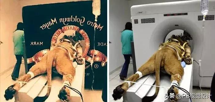 最漂亮的点赞图片大全,这些点赞过万的图片