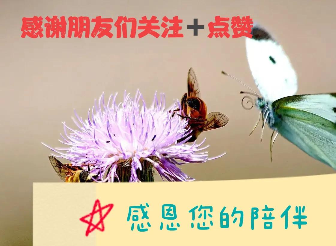 小三语文句式训练系列八（关联句—假设关系）