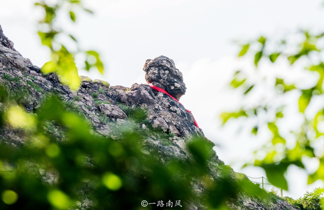 鲅鱼圈海鲜自助餐排名前十,鲅鱼圈地道海鲜大餐