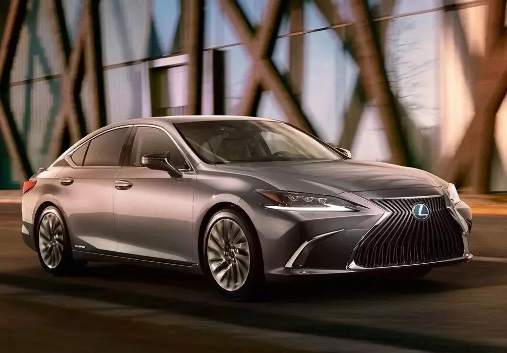 万绿丛中一点红菏泽,万绿丛中一点红为什么那么红