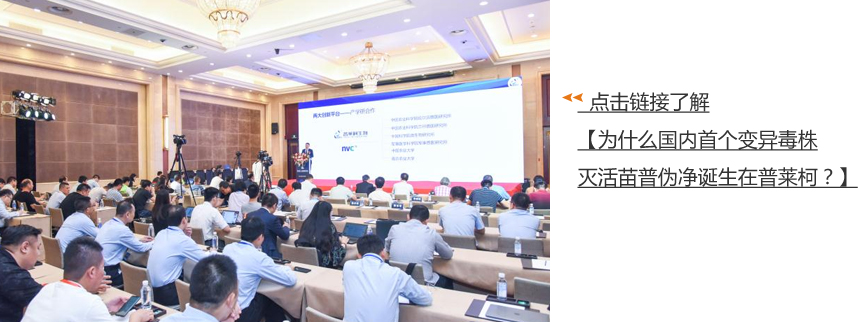 对话田克恭：普莱柯通过组织化创新驱动研发创新