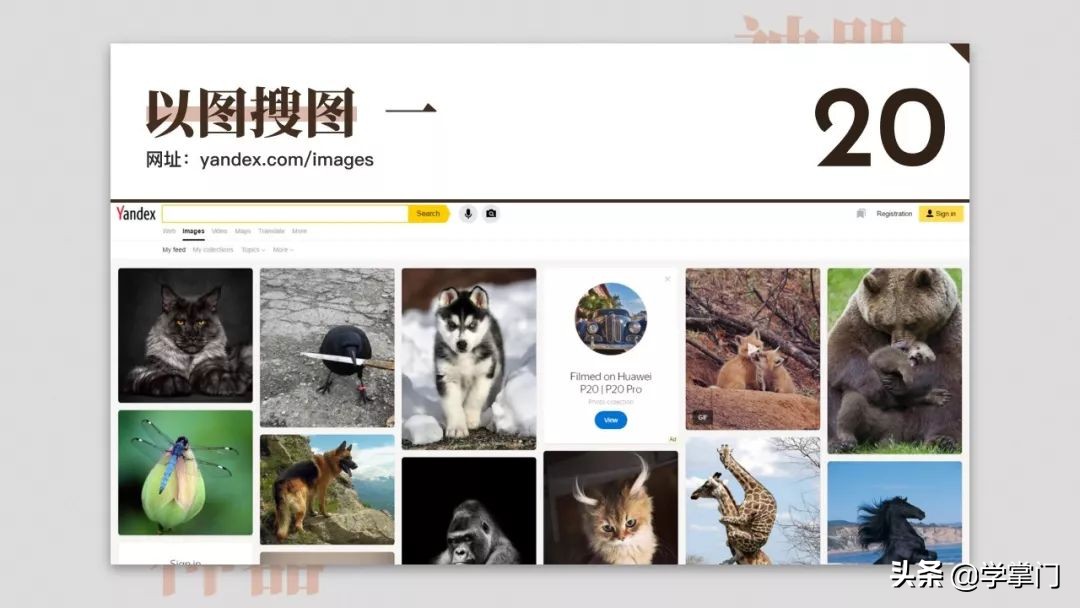 每日分享一个免费又实用的网站,10个冷门却逆天好用的工具网站