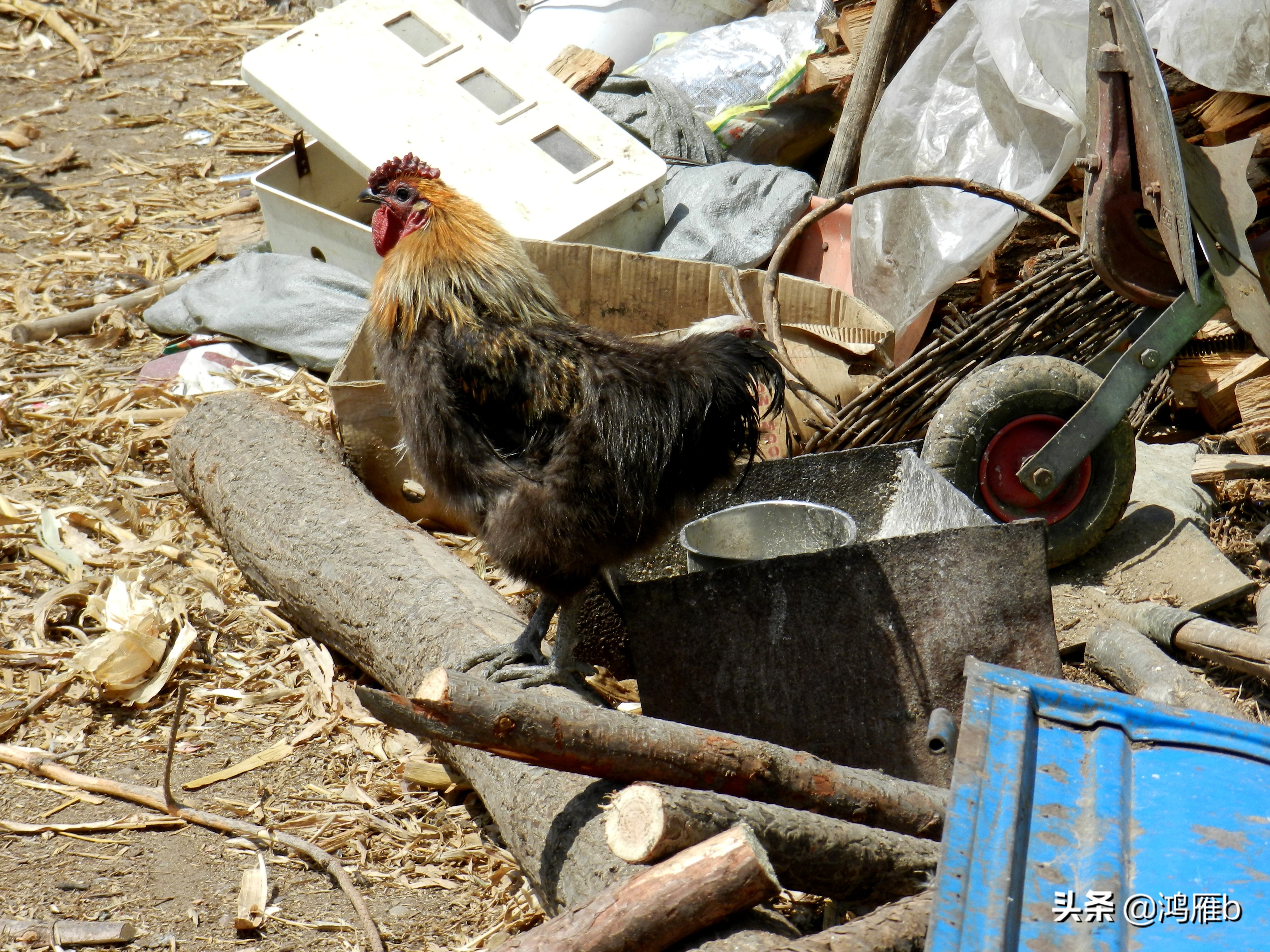 本溪小众秘境,本溪神秘山村