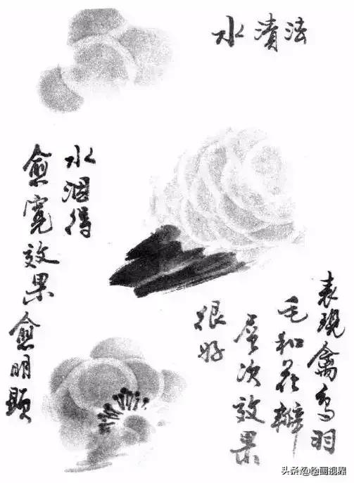 国画没有书法基础,国画没有基础最好先学哪些入手