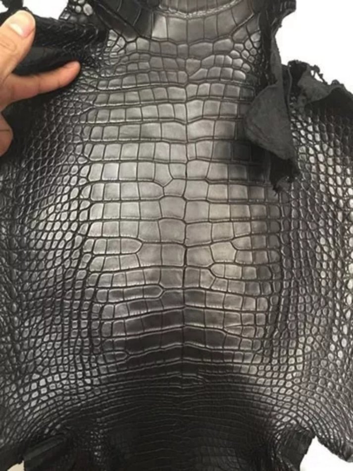 为什么鳄鱼的皮肤像铠甲一样硬,鳄鱼皮为什么值钱