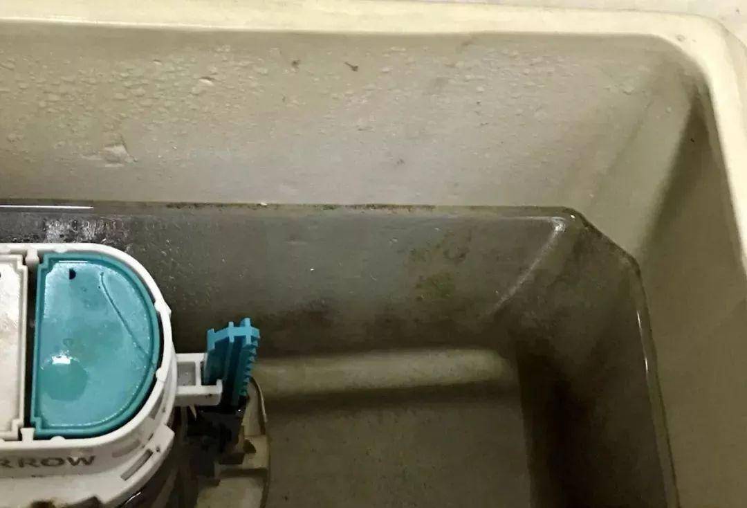 智能按摩，记录健康数据，这款智能马桶让你用了就再也忘不掉