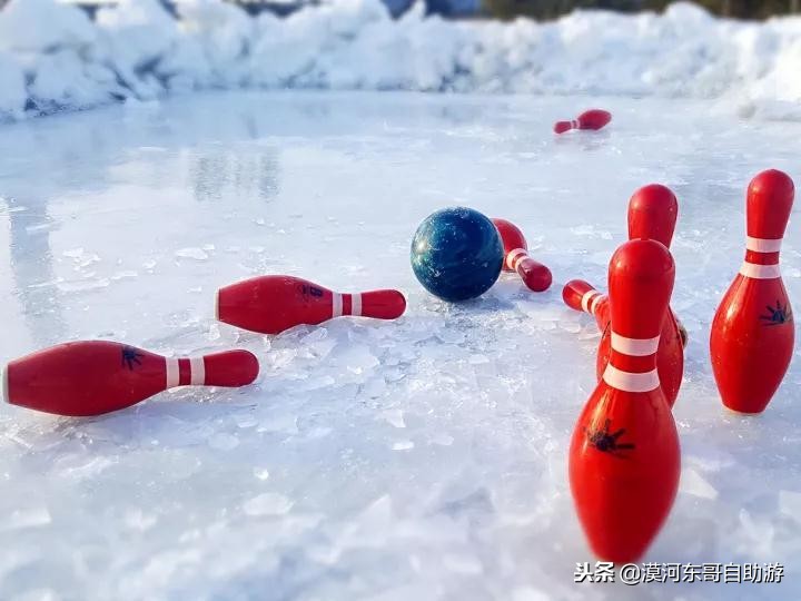 漠河极寒之旅,漠河遇到熊