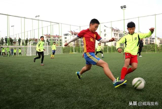 威海有足球场的公园,威海球迷观赛