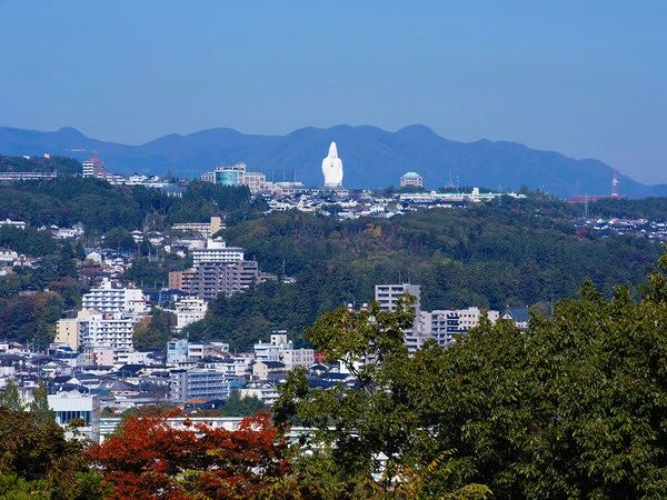 看见巨大的雕像就害怕,看到巨大的佛像会恐惧