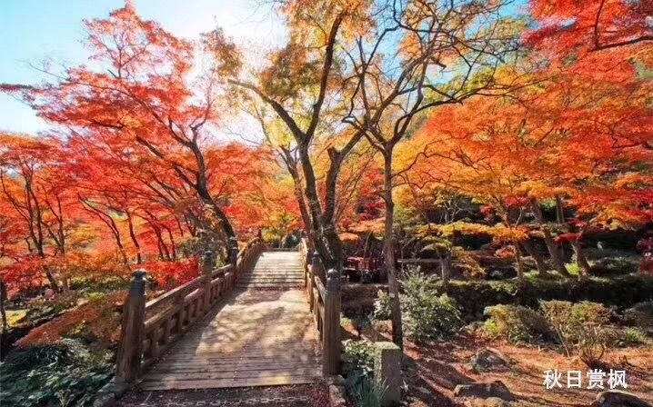 日本冬季最美温泉,日本热海有什么好玩的