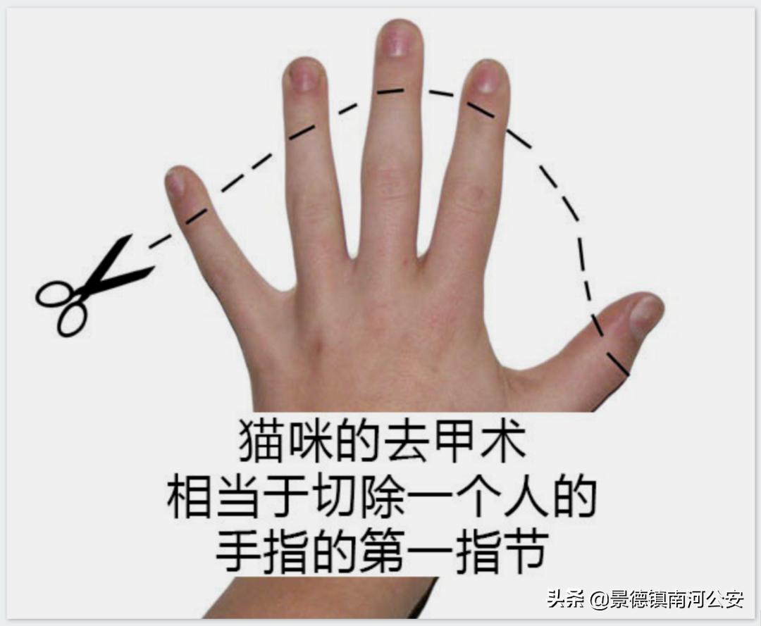 “割声带、截肢、电击，当爱变成我的噩梦”