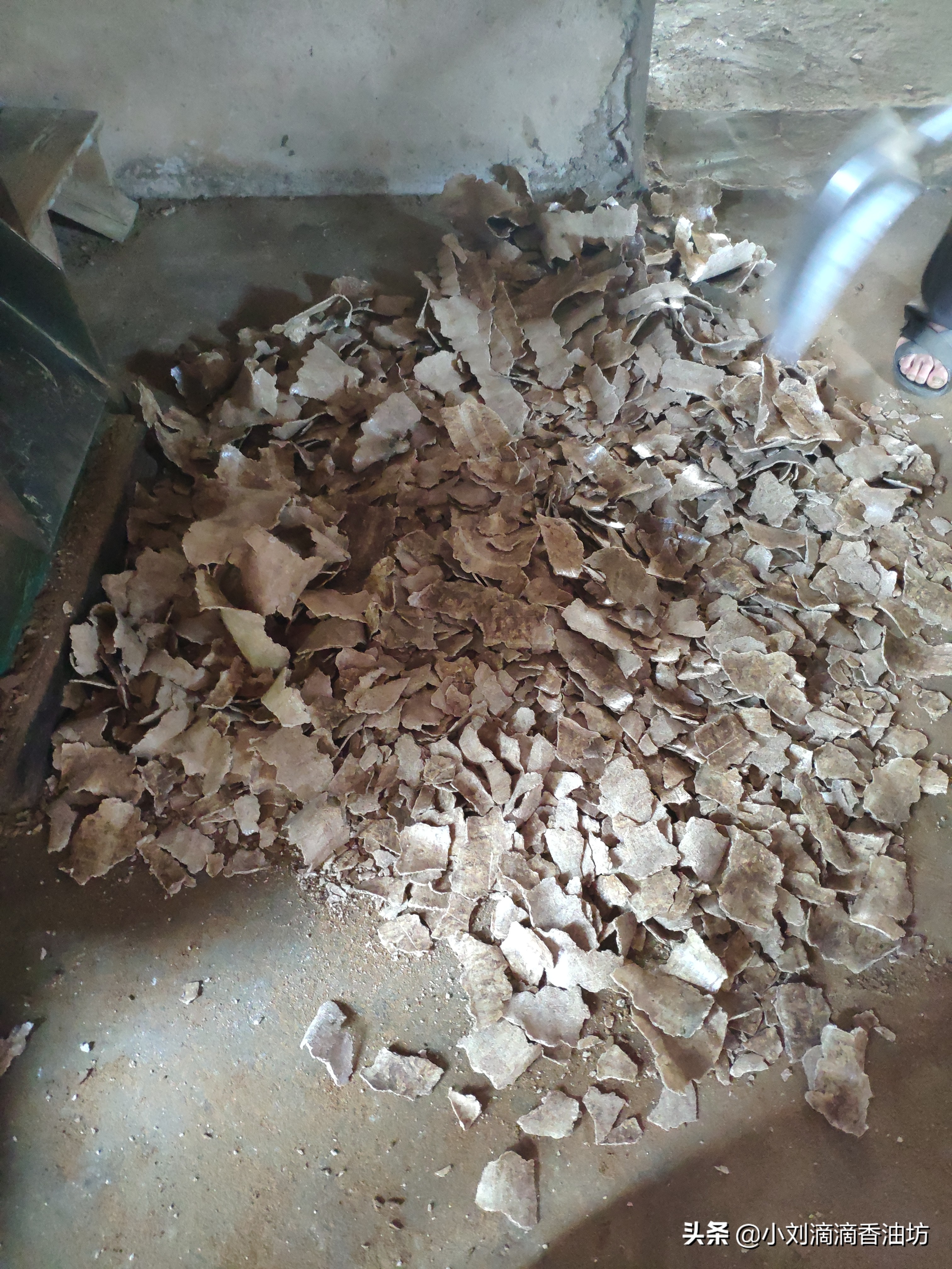 花生饼打窝钓鲫鱼效果怎么样,花生饼打窝钓鱼测试