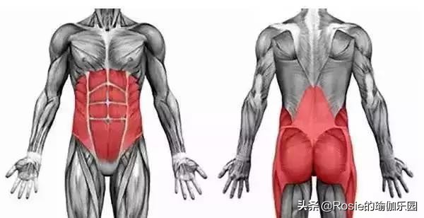 小孩肚子上的脂肪怎么减露出腹肌,适合腰间盘突出的减肚子运动