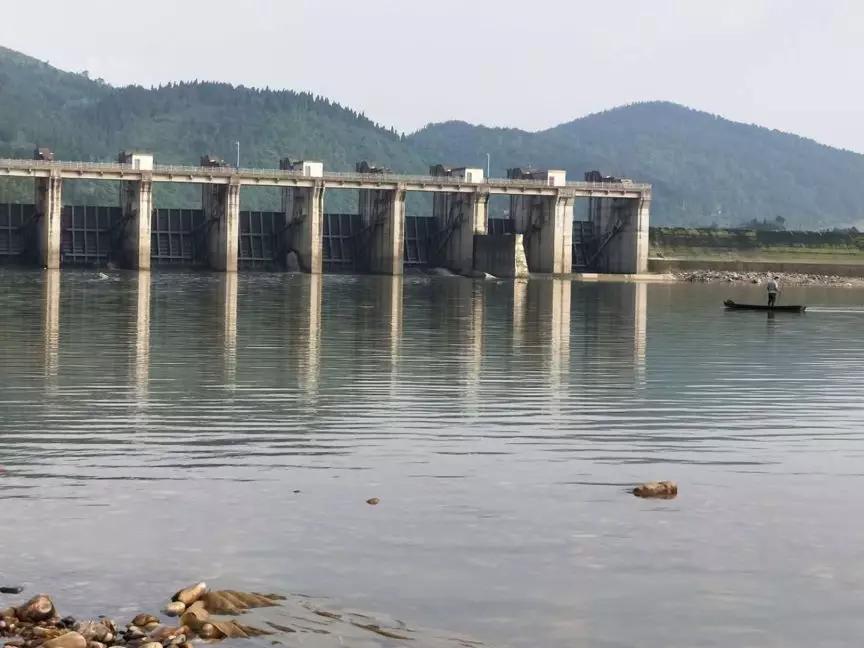 新手钓鱼防偷钓神器,野钓实用的控鱼器