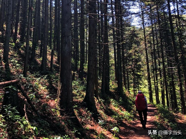 初夏游江西：历经晴、雨、雾，穿越武功山