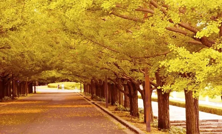 无聊的时候做什么才有意思,无聊时要做的十件事