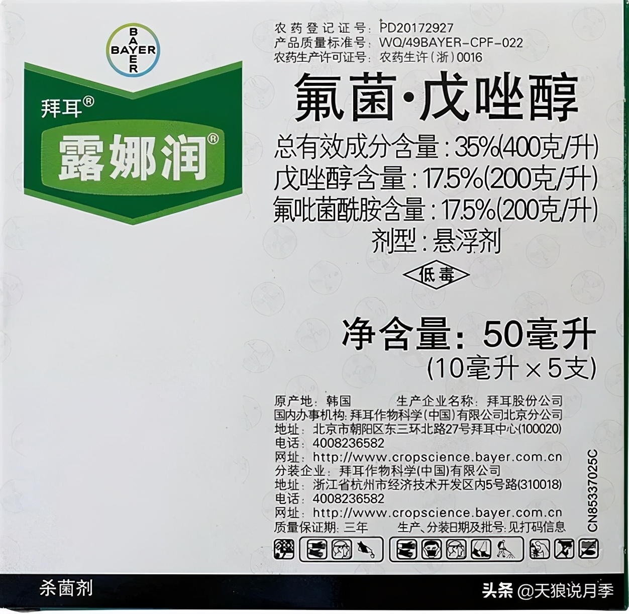 不用再羡慕别人家的院子,庭院养护全攻略