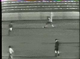 贝利球王他在足球影响力多大,当年球王贝利的影响力