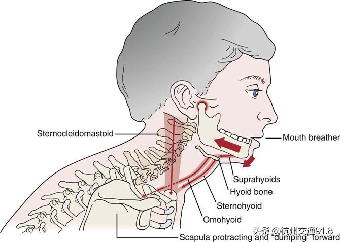 女大学生唱歌想哭,想唱歌不敢唱
