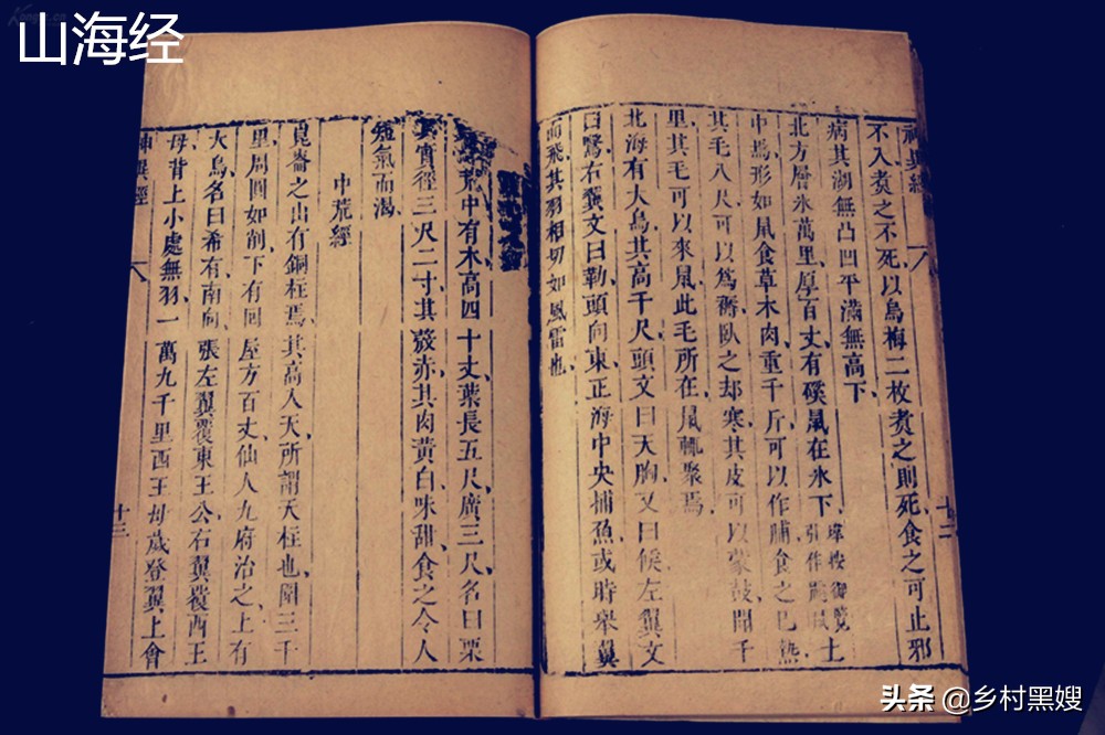 梨在我国种植多少年的历史了,你知道你所种植的梨有多久的历史