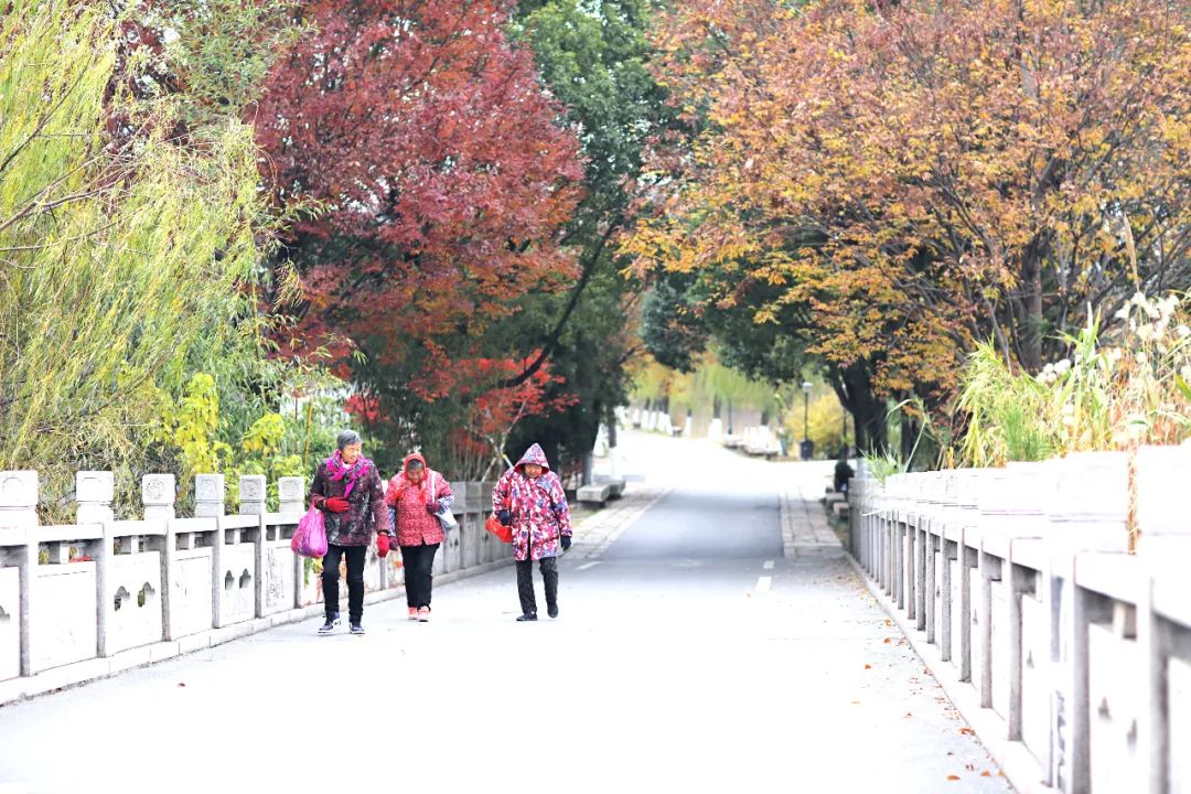 闃虫緞婀栨矙瀹舵禍鐖婇浮,涓轰簡澶ч椄锜规潵鍒伴槼婢勬箹