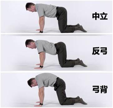 硬拉弓背矫正,硬拉弓背是什么原因