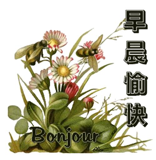 清晨最美的早上好问候祝福语图片,早上好问候语图片早安心语