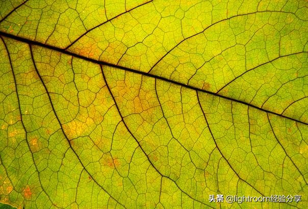 摄影中光影效果怎么描述,摄影纵深感怎么表现