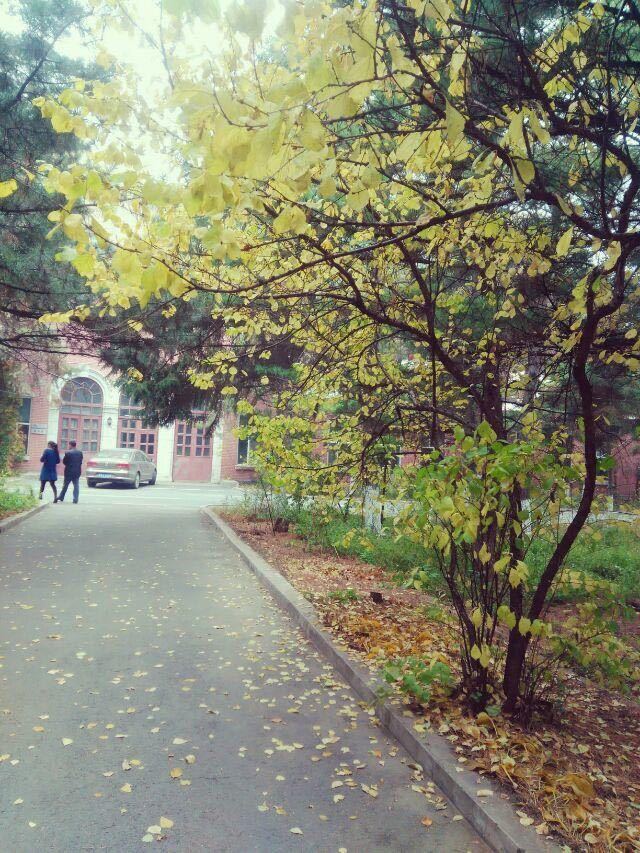 吉林省医学高校排名,吉林省22所普通本科大学